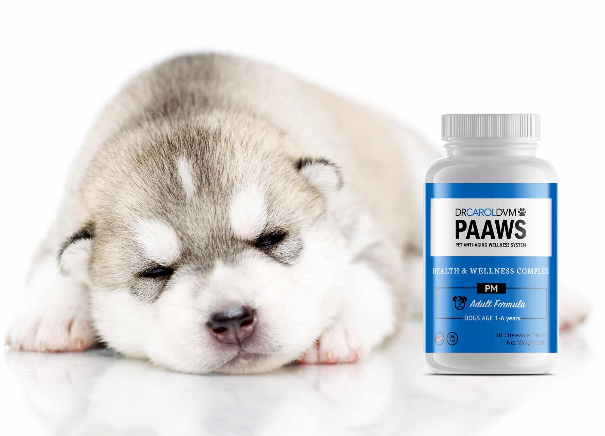 Dr. Carol DVM PAAWS pet product labels supplement bottle design in white, blue, black with friendly dog sleeping next to the bottle.