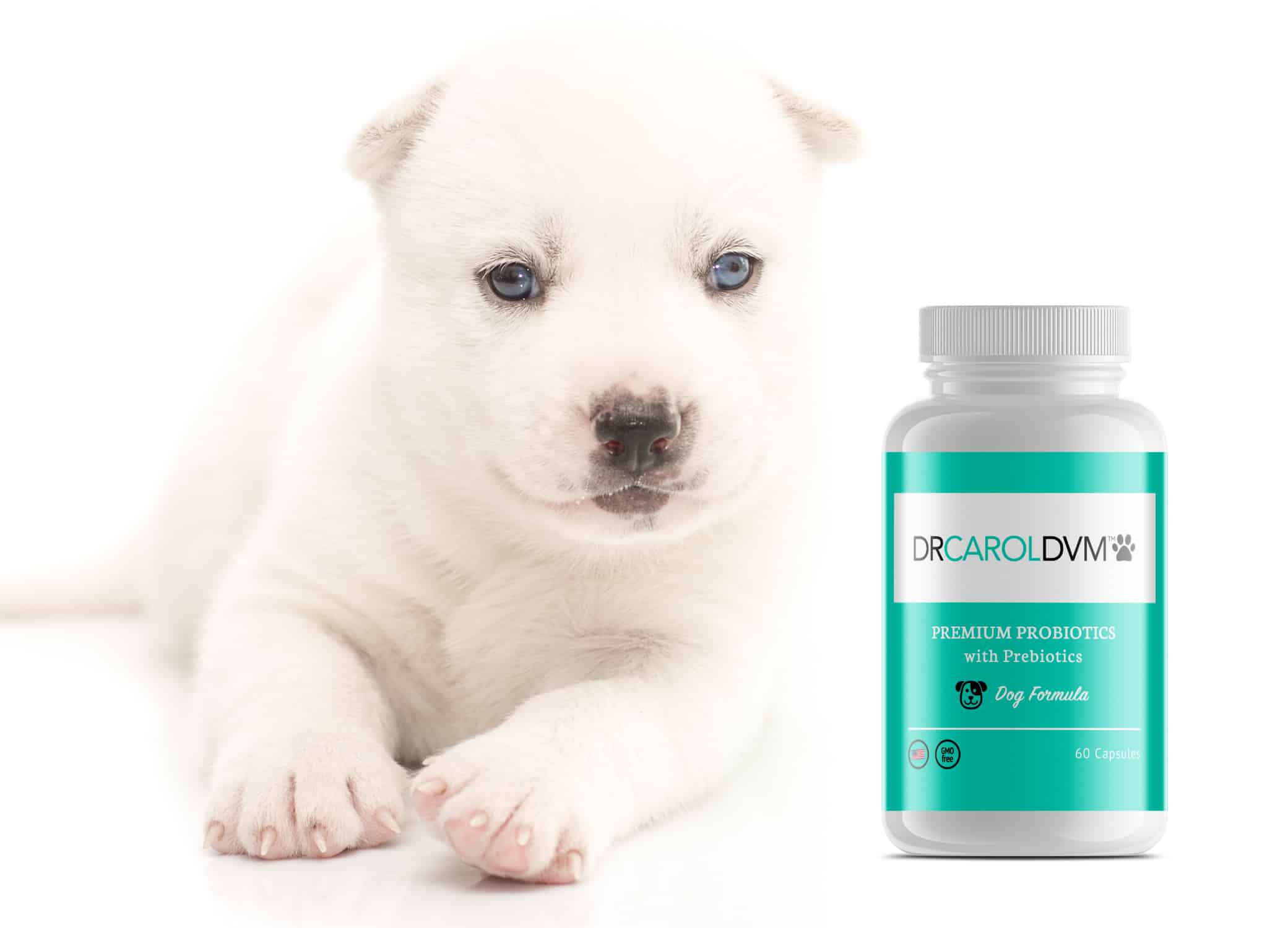 Dr. Carol pet supplements design showcased next to puppy against white background.