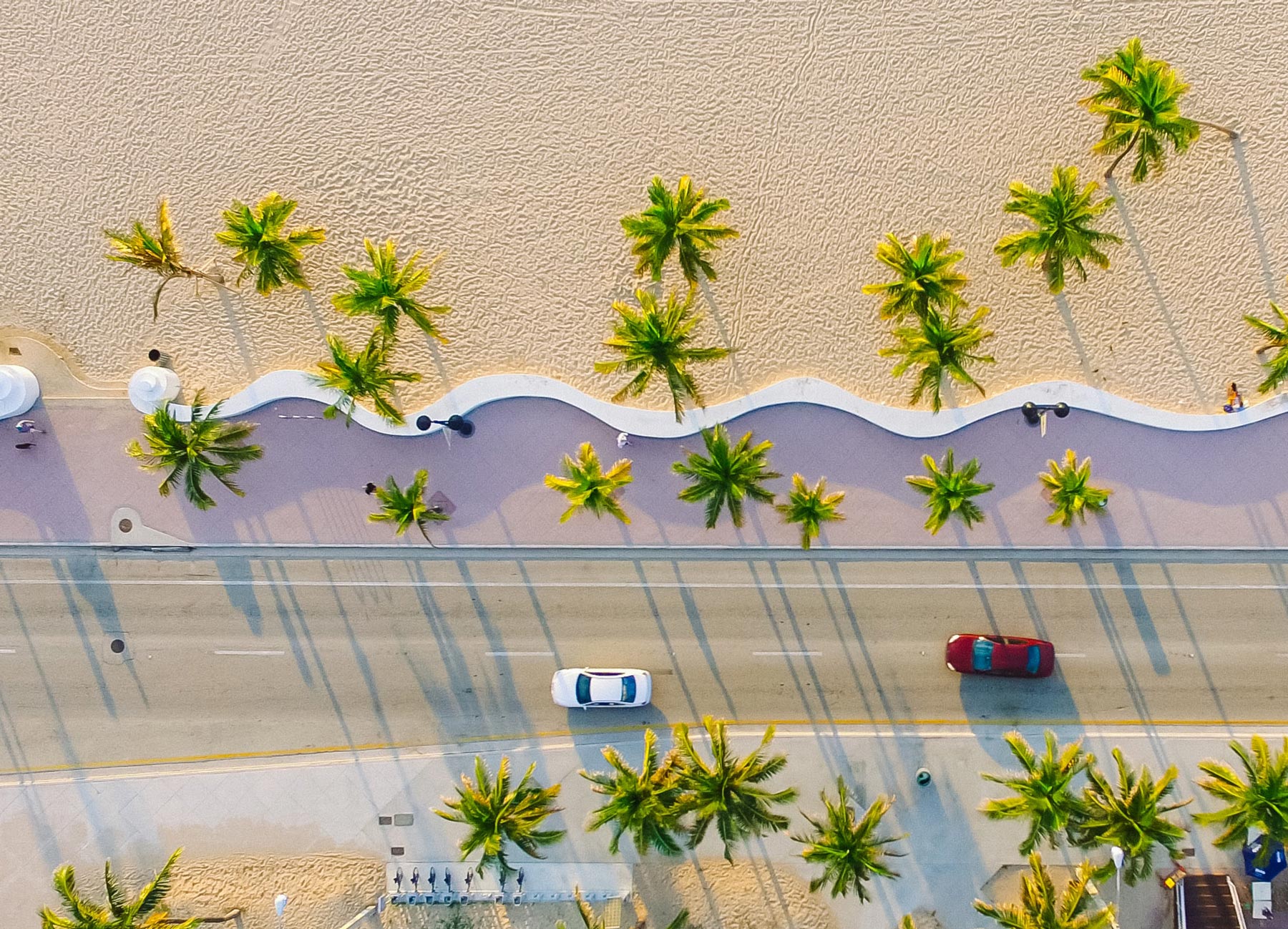 Package design for Fort Lauderdale companies located in the state, image showcasing highway with palm trees and cars.