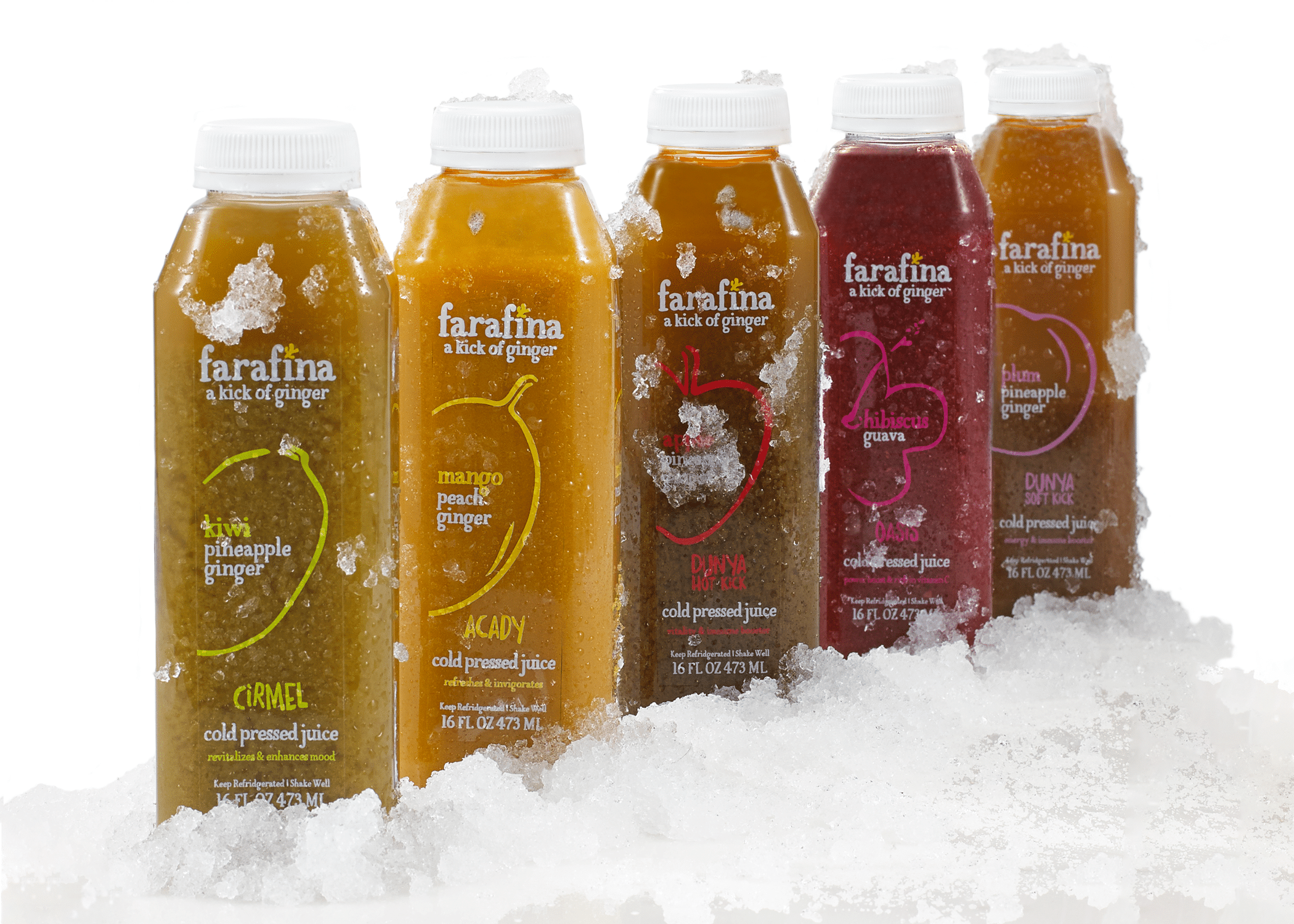 Cold pressed 2025 juice business