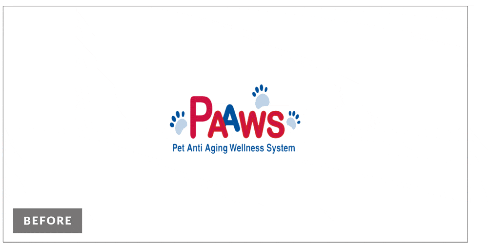 Dr. Carol Paaws before and after logo redesign, featured in gif format.