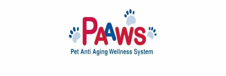 Dr. Carol DVM clinical but friendly logo design for pet supplement product labels before redesign.