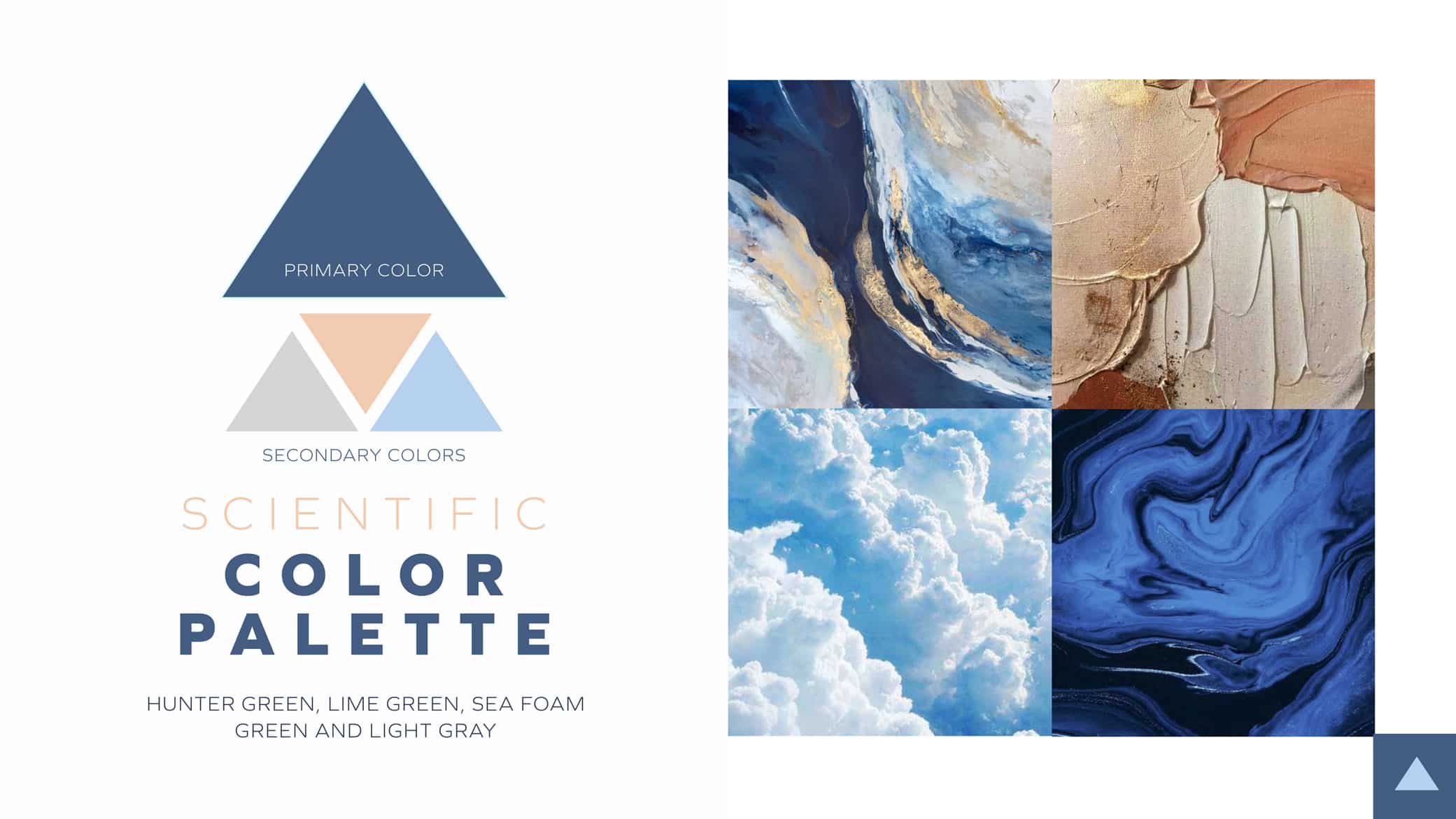 Opticann color palette showcasing primary and secondary color options and inspiration photos.