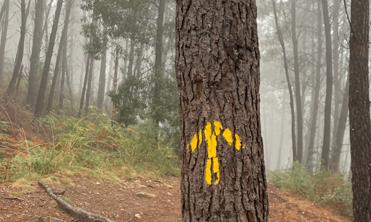 Ready for change by visiting the Yellow Arrows on the Camino.