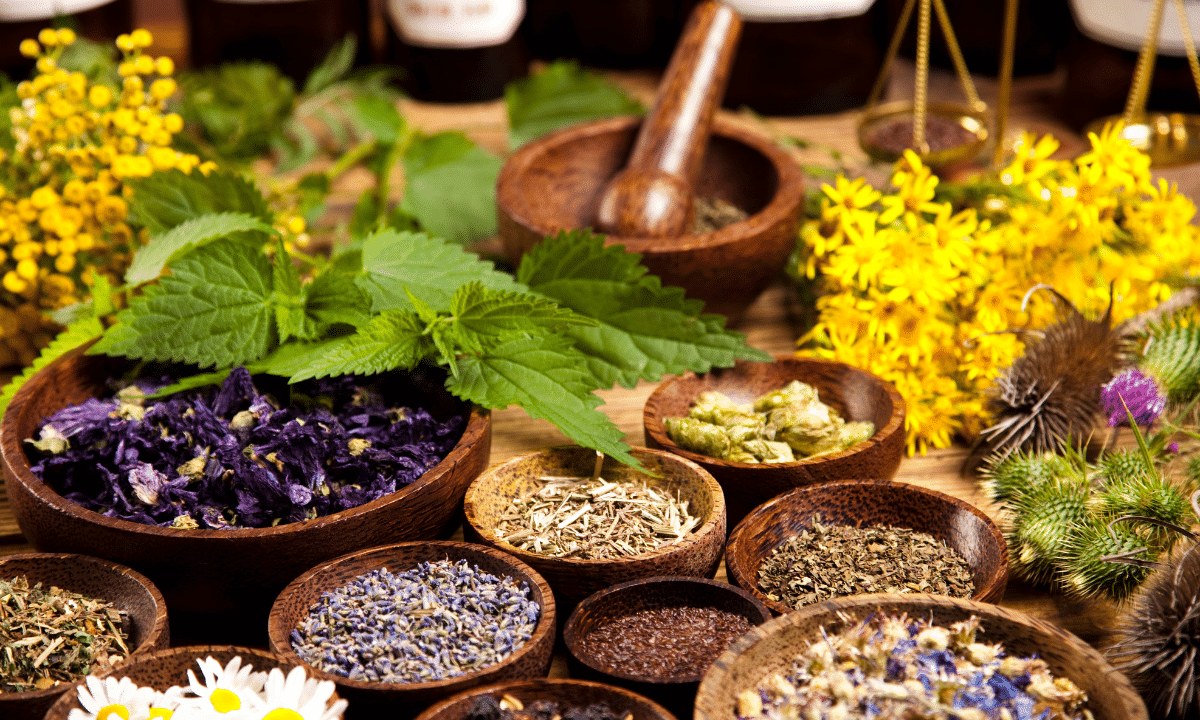 Herbs, spices, leaves, and mushrooms in separate bowls on countertop.